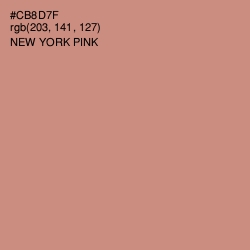 #CB8D7F - New York Pink Color Image